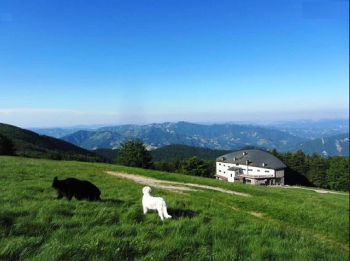 Casa Titina Riposo E Relax Nella Campagna Toscana プラトヴェッキオ エクステリア 写真
